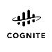 Cognite Data Fusion logo