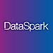 DataSpark logo