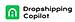 Dropshipping Copilot logo
