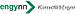 Engynn Intranet logo