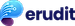 Erudit AI logo