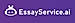 EssayService.ai logo