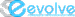 Evolve ILS logo