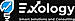 Exology logo