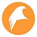 Falkonry logo