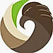 Field Eagle logo