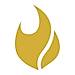 Flamel.ai logo