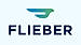 Flieber logo