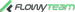 FlowyTeam logo