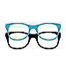 Four Eyes Surveys logo