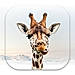 Girafi logo