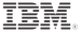 IBM Watson IoT Platform logo
