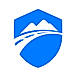 Idelic logo