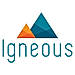 Igneous DataProtect logo