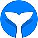 Intempt logo