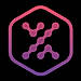 LocalXpose logo