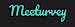 Meeturvey logo