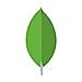 MongoDB Cloud Manager logo