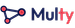 Multy logo
