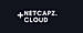 Netcapz logo