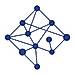 Network Perspective logo