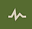 PageSpeed Green logo