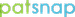 PatSnap logo
