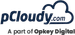 pCloudy logo