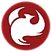 Phoenix Ortho logo