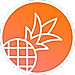 Pineapple Builder logo