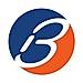 ProAccel by Bricata logo