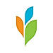 Projecturf logo