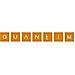 Quantim logo