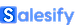 Salesify logo
