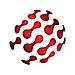 SANeForce logo