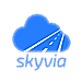 Skyvia Backup logo