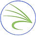 Snowfly logo