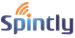 Spintly SAAMs logo