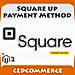 SquareUp Payment Method logo