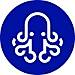 Squids logo