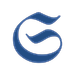 Starizon AI logo