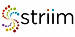 Striim logo