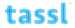 Tassl logo