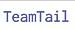 TeamTail logo
