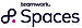 Teamwork Spaces logo