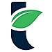 Templateum logo