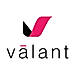 Valant Private Practice logo