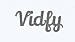 Vidfy logo
