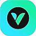 VidScout logo