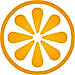 VisitBasis logo